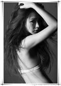vi资源网站群资源检索